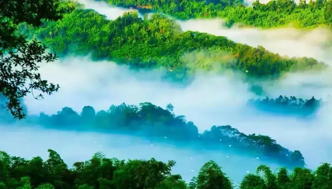 青山绿水好风光,有情之人不孤单猜一生肖仔细释义、解释与落实、时代解答解释落实