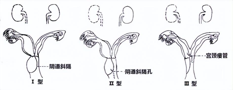 虎虎生威打一正确生肖，详细解答、构建解答解释落实
